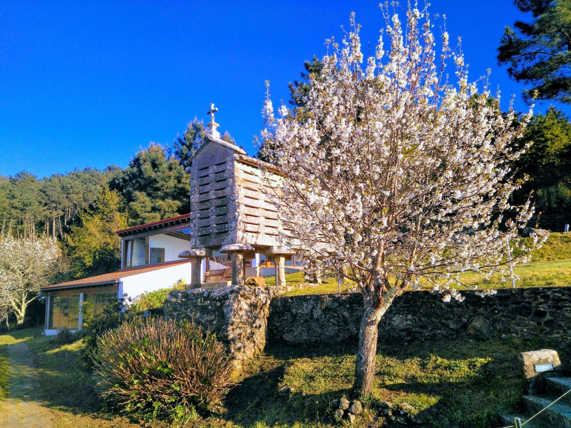 Casa Do Fieiro Guest House Minortos Exterior photo